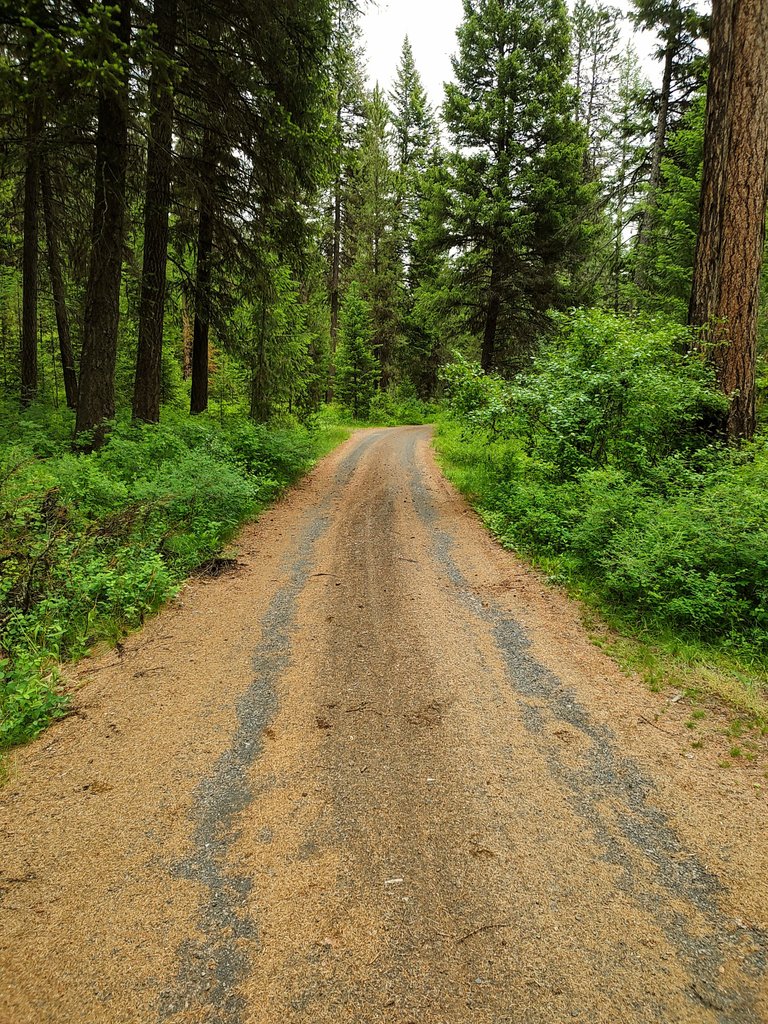 A wolf creek road.jpg