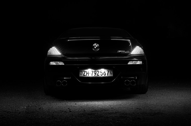 m6 back bw.jpg