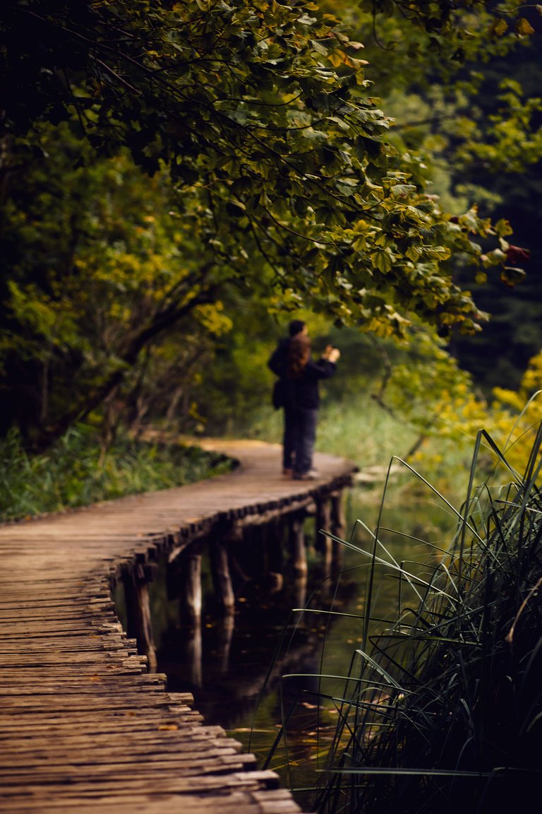 plitvice lakes Photography (133).jpg