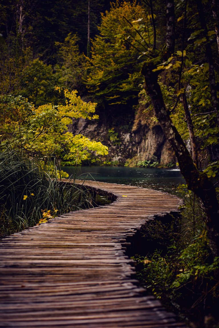 plitvice lakes Photography (97).jpg