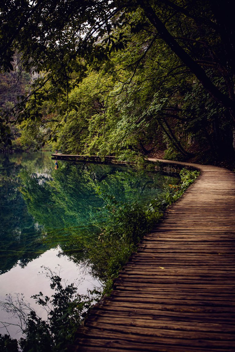 plitvice lakes Photography (38).jpg