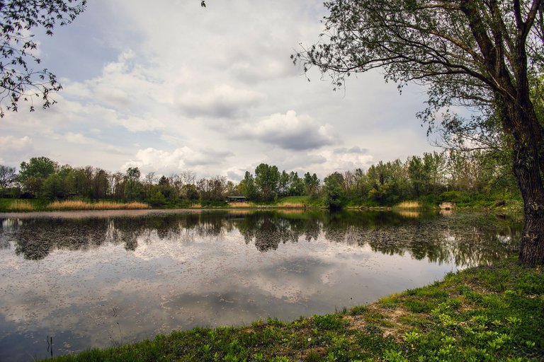 liberland 6.jpg