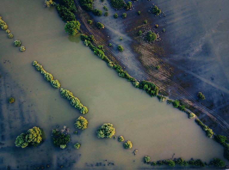 tomasevac floods 2.jpg