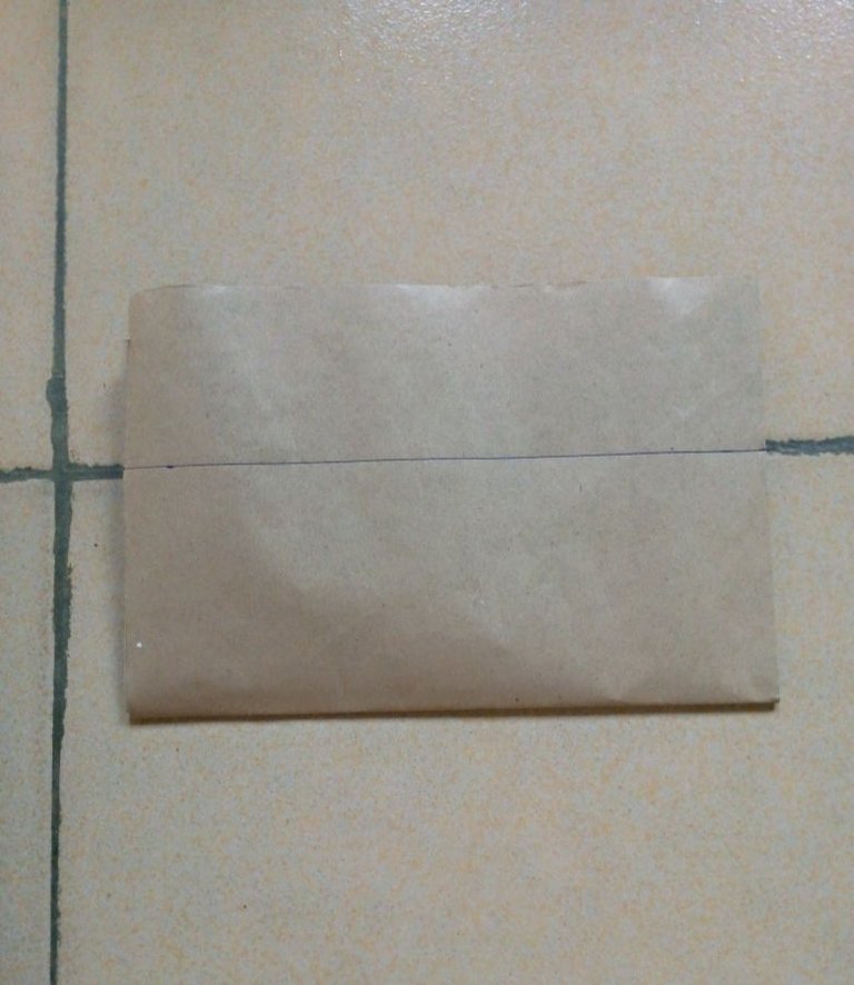 1741774494820.jpg