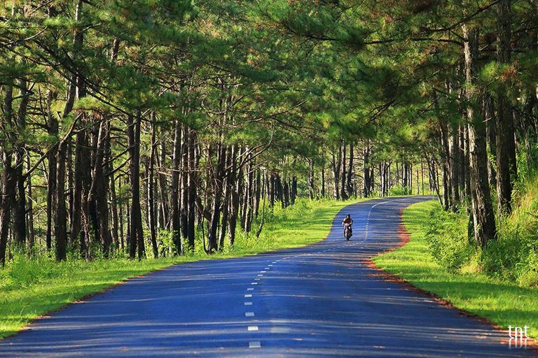 road in Dalat.jpg