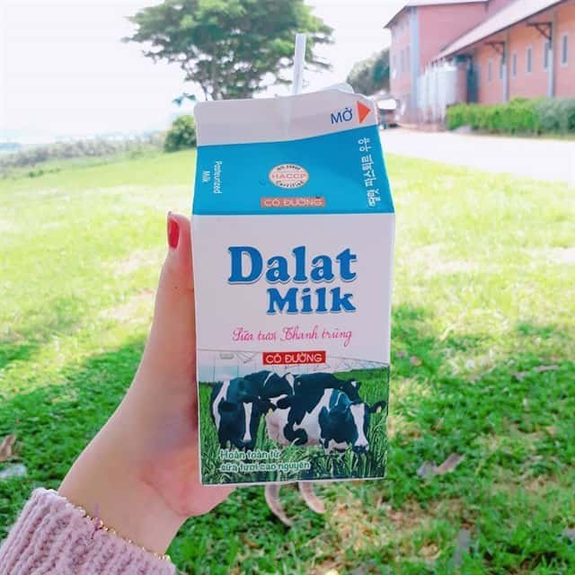 dalat-milk-farm.jpg