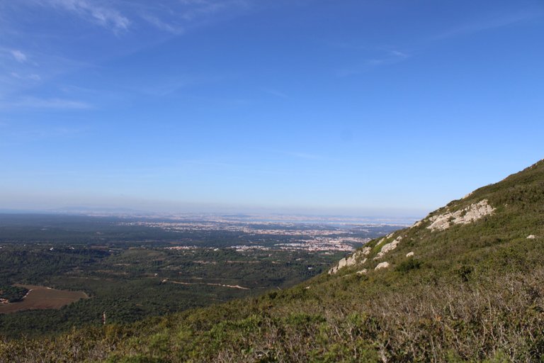 IMG_7725.JPG