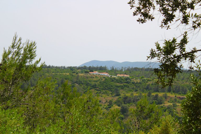 IMG_3372.JPG