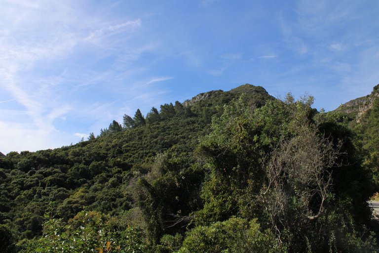 IMG_7564.JPG