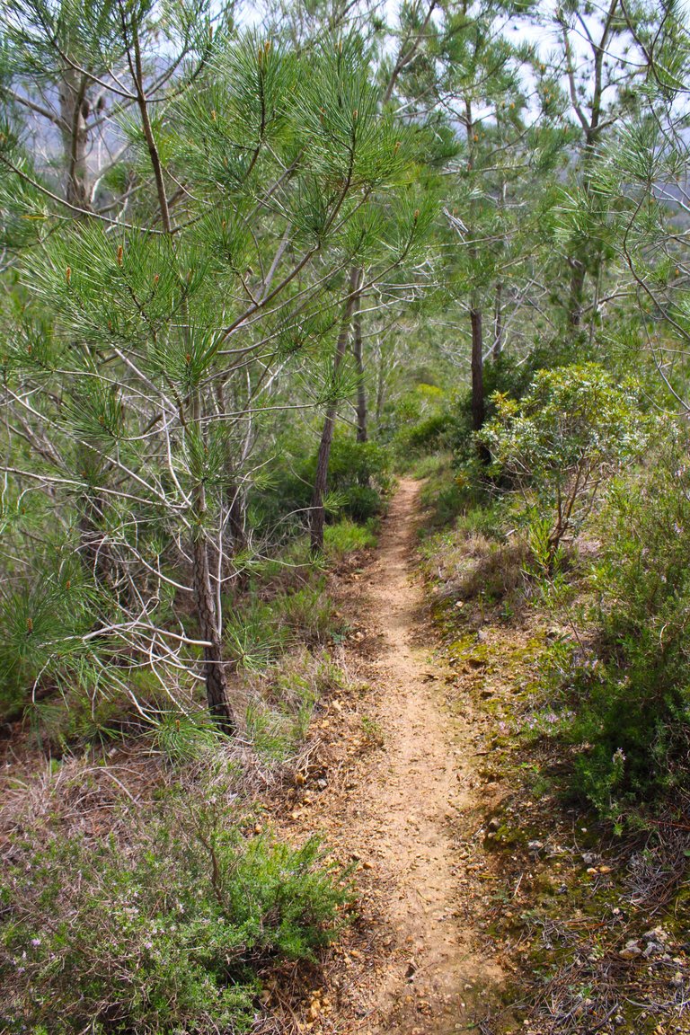 IMG_8867.JPG