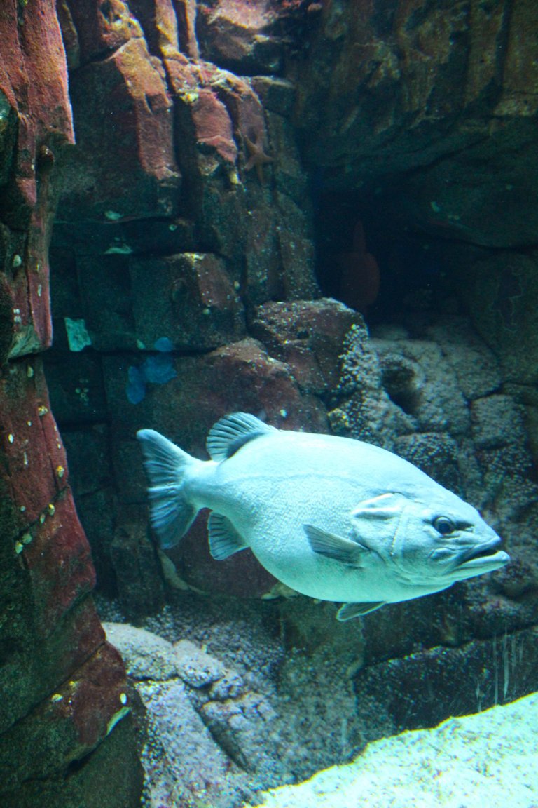 IMG_2592.JPG