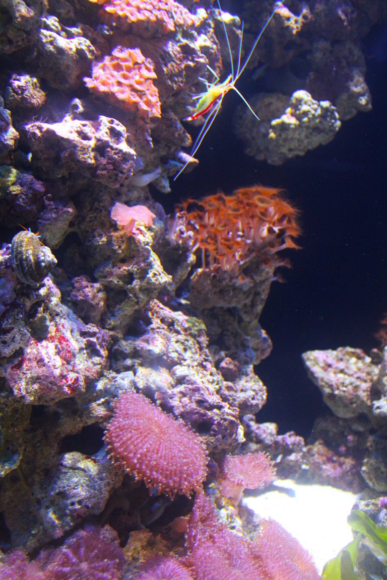 IMG_3302.JPG