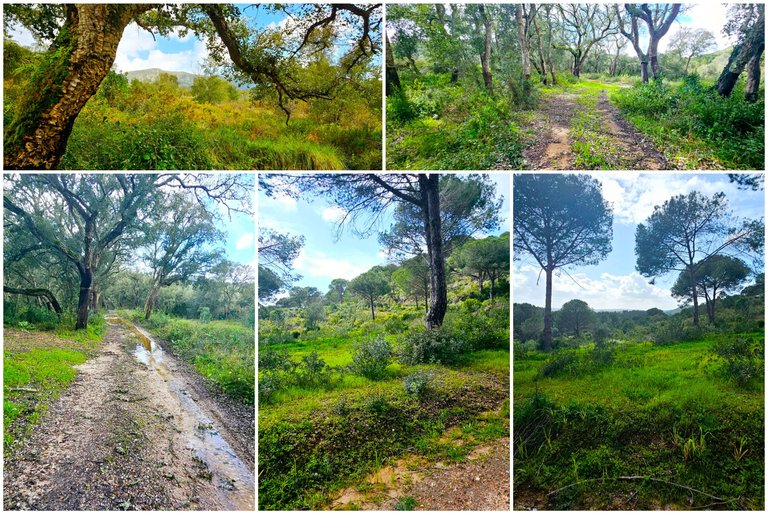 BeFunky-collage (73).jpg
