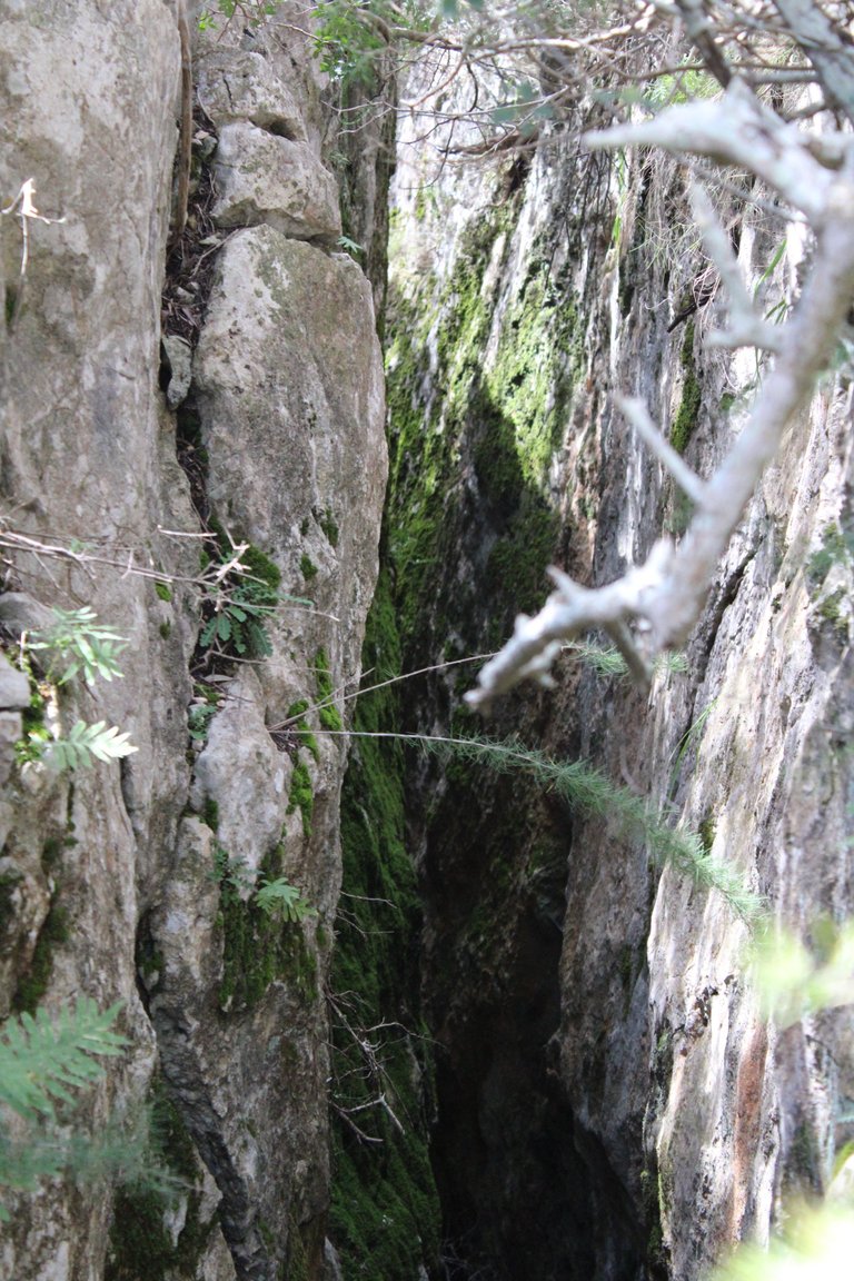 IMG_9603.JPG