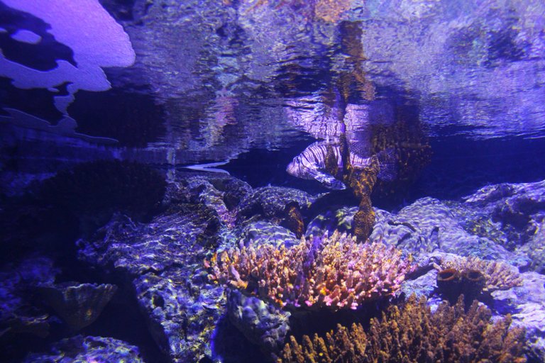 IMG_3290.JPG