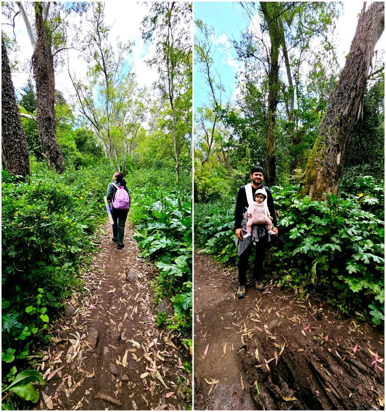 BeFunky-collage - 2025-05-05T153156.898.jpg
