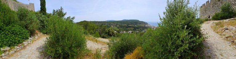20250601_113218.jpg