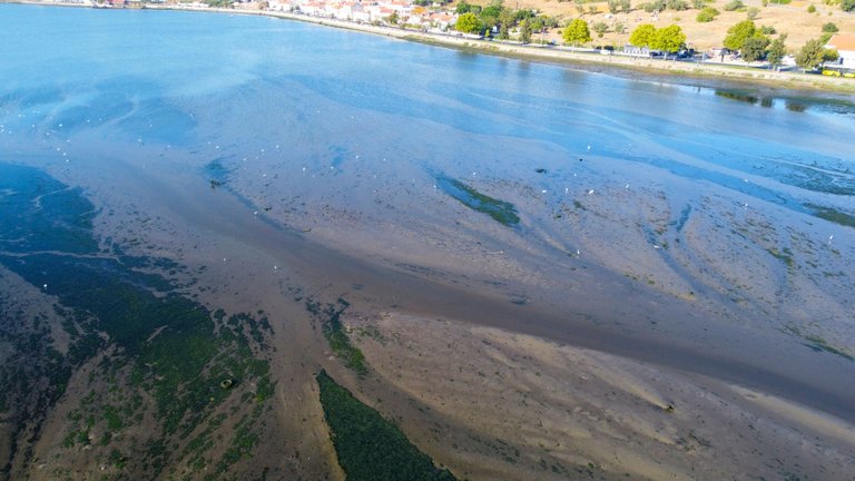 DJI_0435.JPG