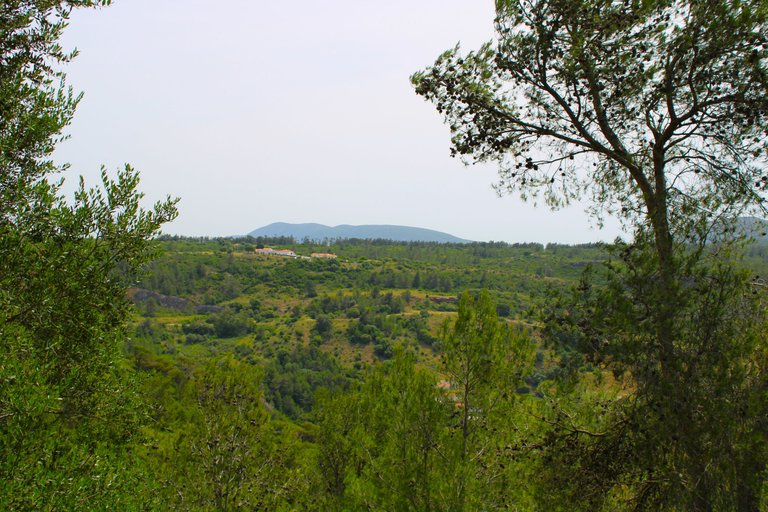 IMG_3376.JPG