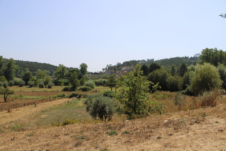 IMG_6788.JPG