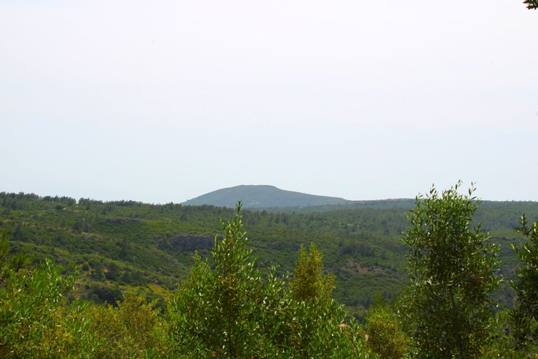 IMG_3369.JPG