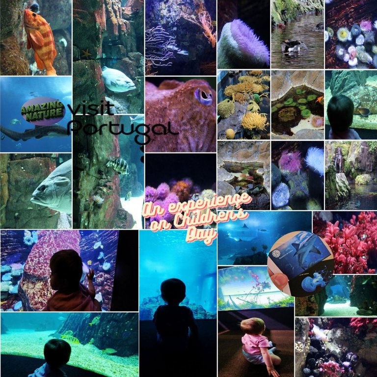 BeFunky-collage - 2025-06-25T150019.jpg