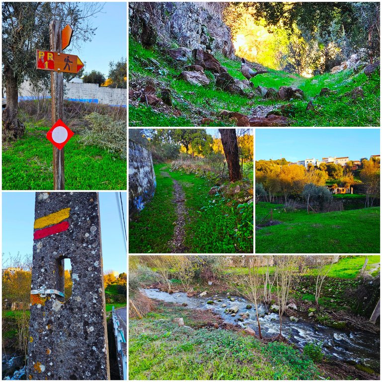 BeFunky-collage - 2025-12-18T144824.668.jpg