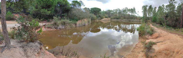 PANO_20241101_133310.jpg