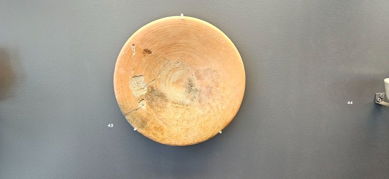 20250503_155741.jpg
