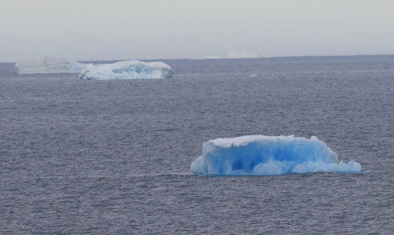 Very Blue Iceberg_0Y0A7505 2022-11-21 Arriving Antarctica.JPG