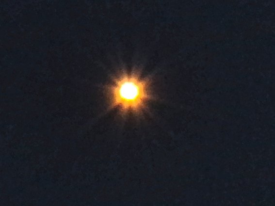 IMGP3110.jpg