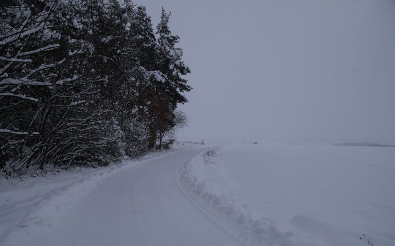 IMGP4864.jpg