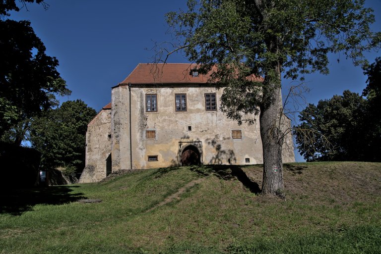 IMGP2665.jpg