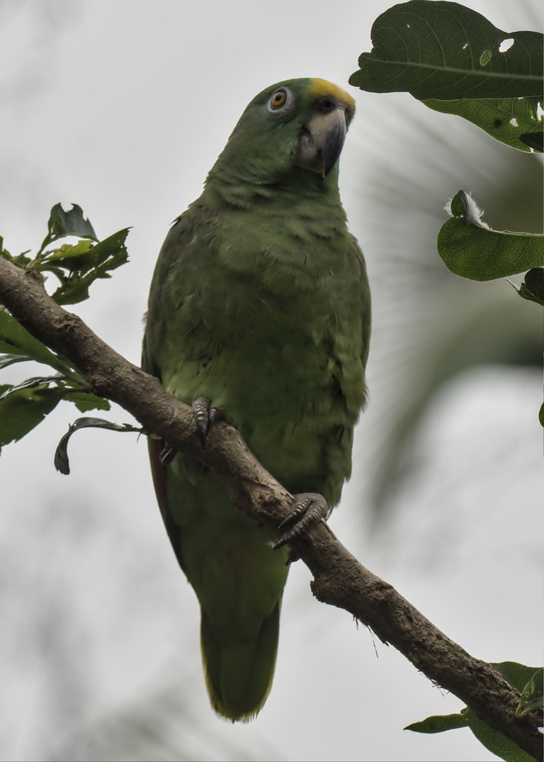 IMGP5072.jpg