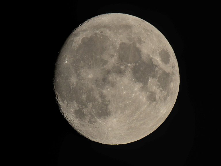 IMGP3107.jpg