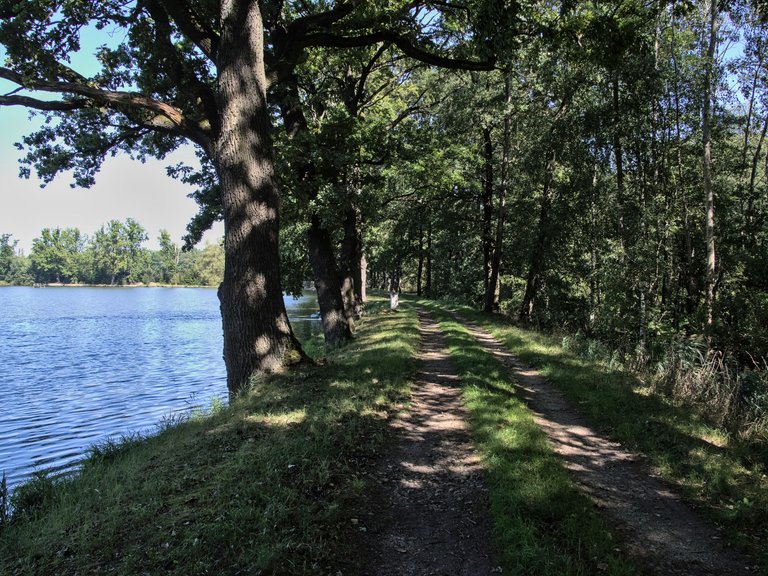 IMGP2684.jpg