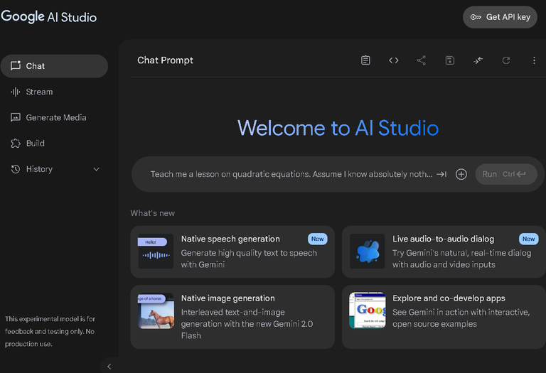 Google AI Studio Interface
