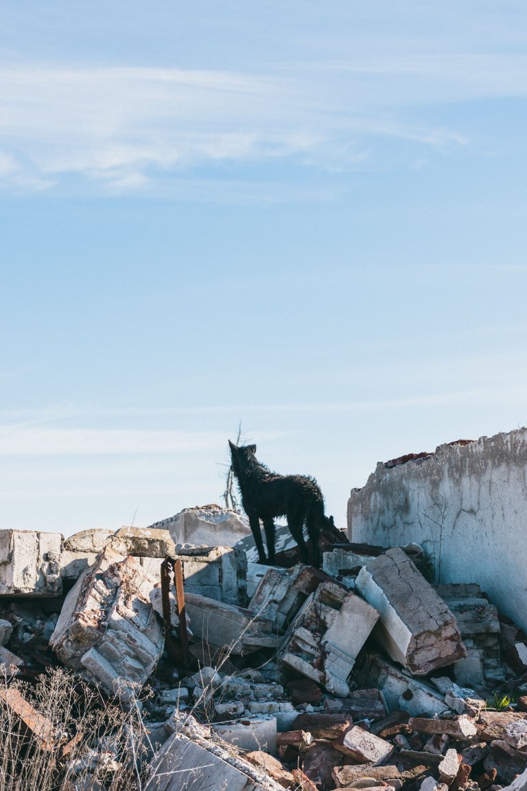 Epecuén 2019_22.jpg