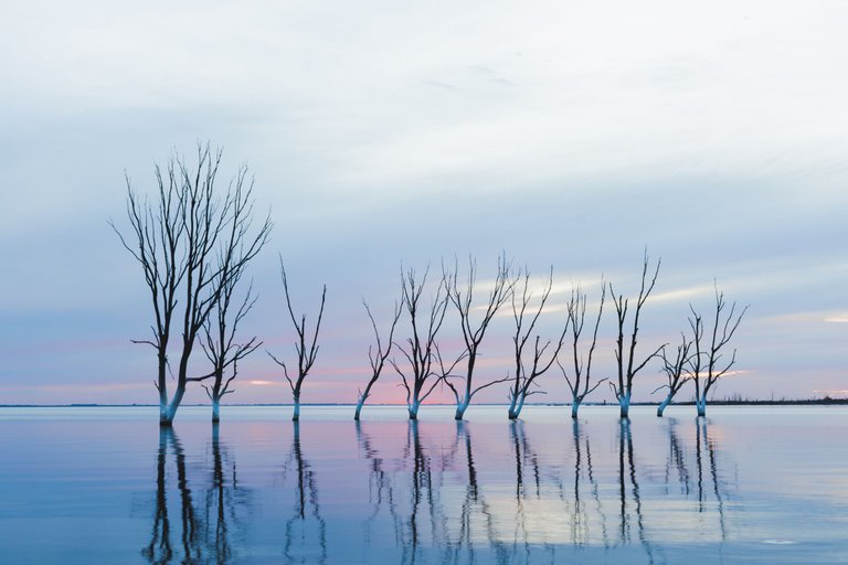 Epecuén 2019_125.jpg