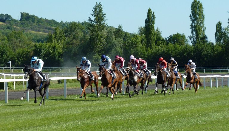 horse-race-g3764f39f1_1920.jpg