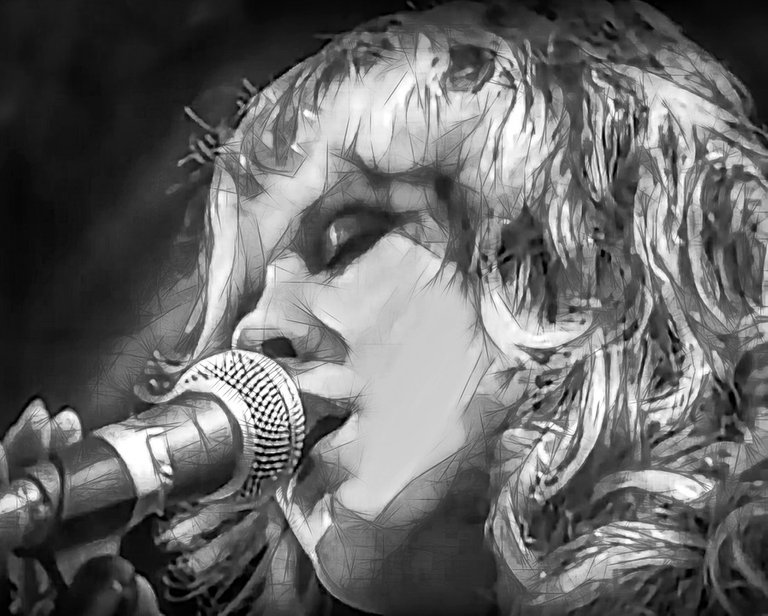 stevie-nicks-3335093_960_720.jpg