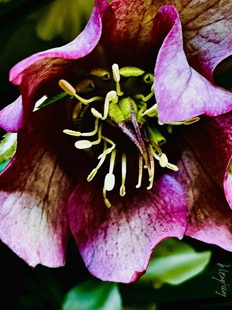 IMG_9041.jpeg
