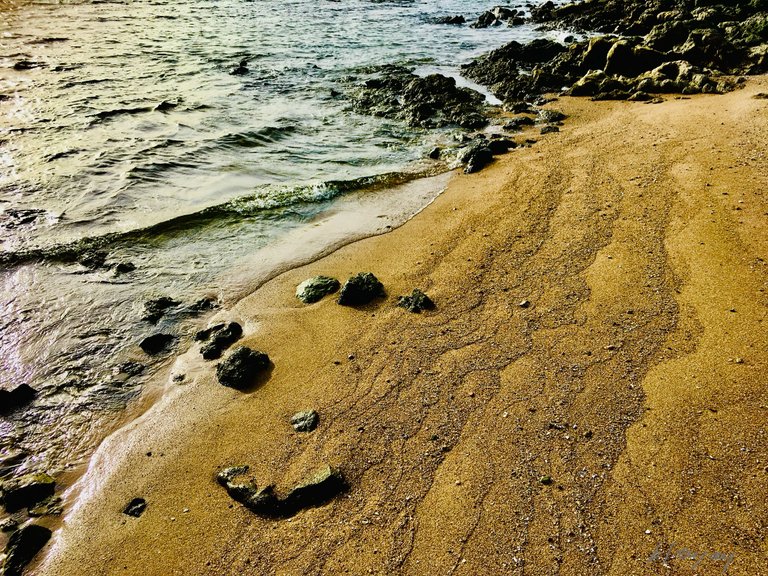 IMG_3680.jpeg