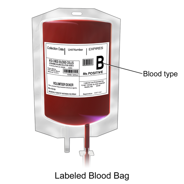 Blausen_0086_Blood_Bag.png