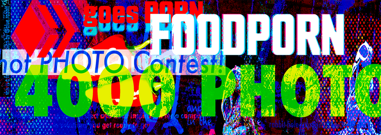 Banner FOODPORN Contes4000.png