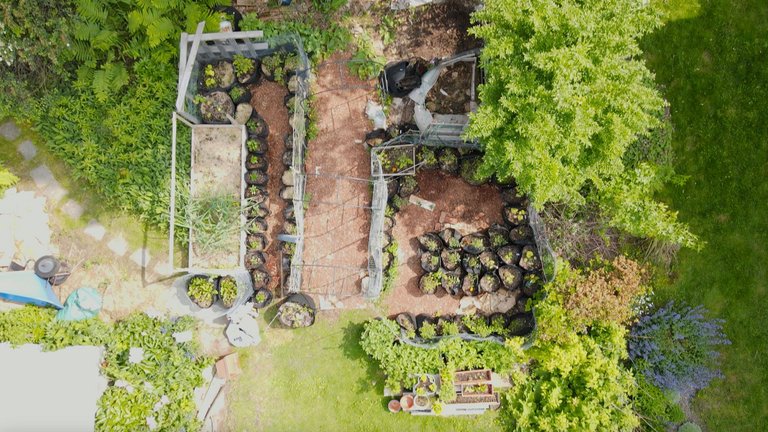 Garden Overhead copy.jpg