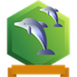 Dolphin copy.png