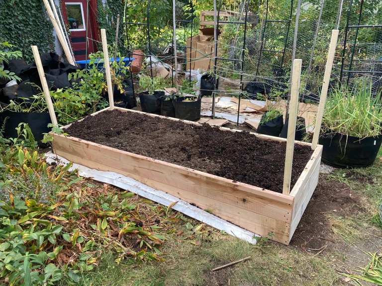 Raised Bed.jpg