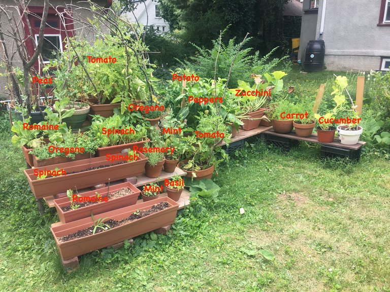 gardening.JPG