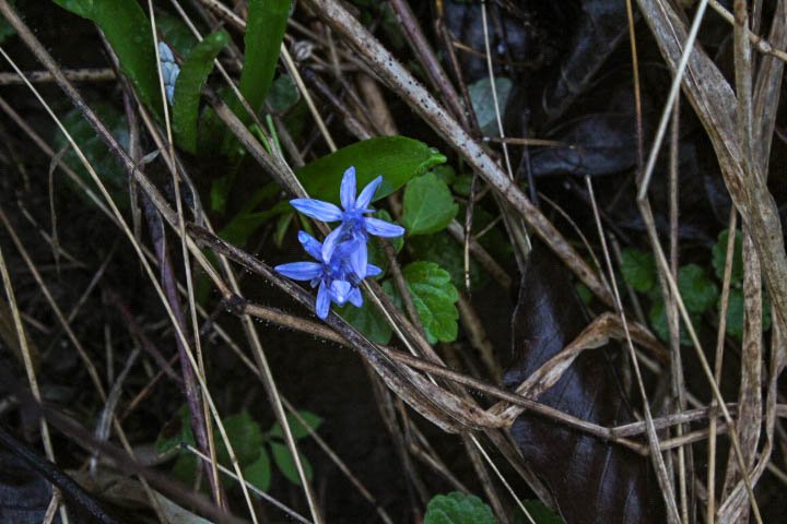 IMG_0061.jpg